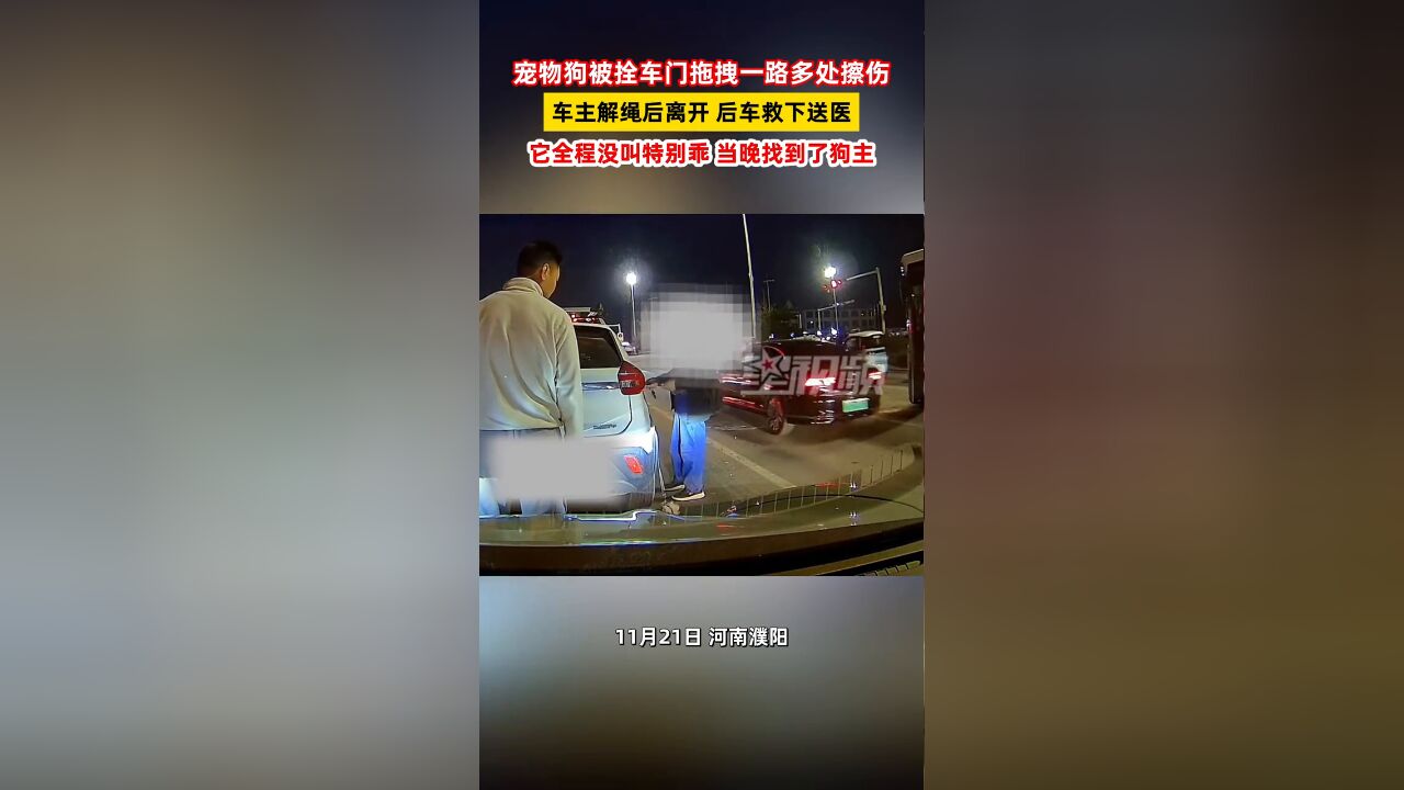 宠物狗被拴车门拖拽一路多处擦伤 车主解绳后离开