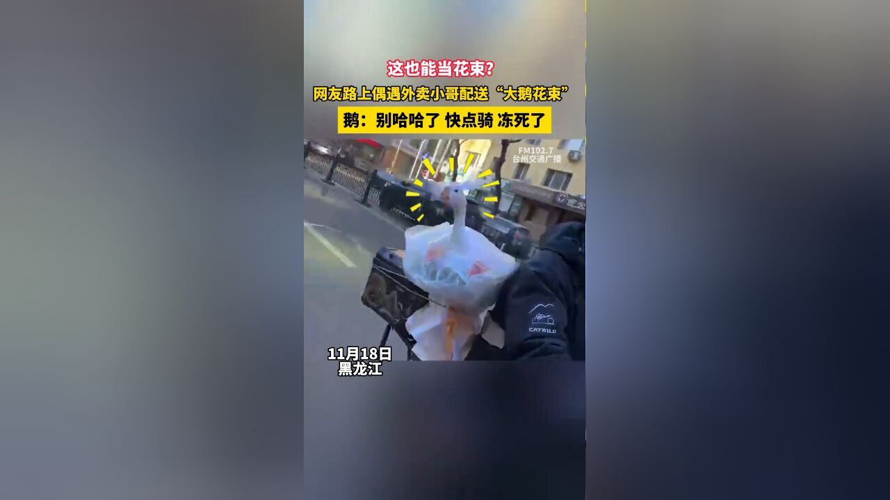 这也能当花束?网友路上偶遇外卖小哥配送“大鹅花束”