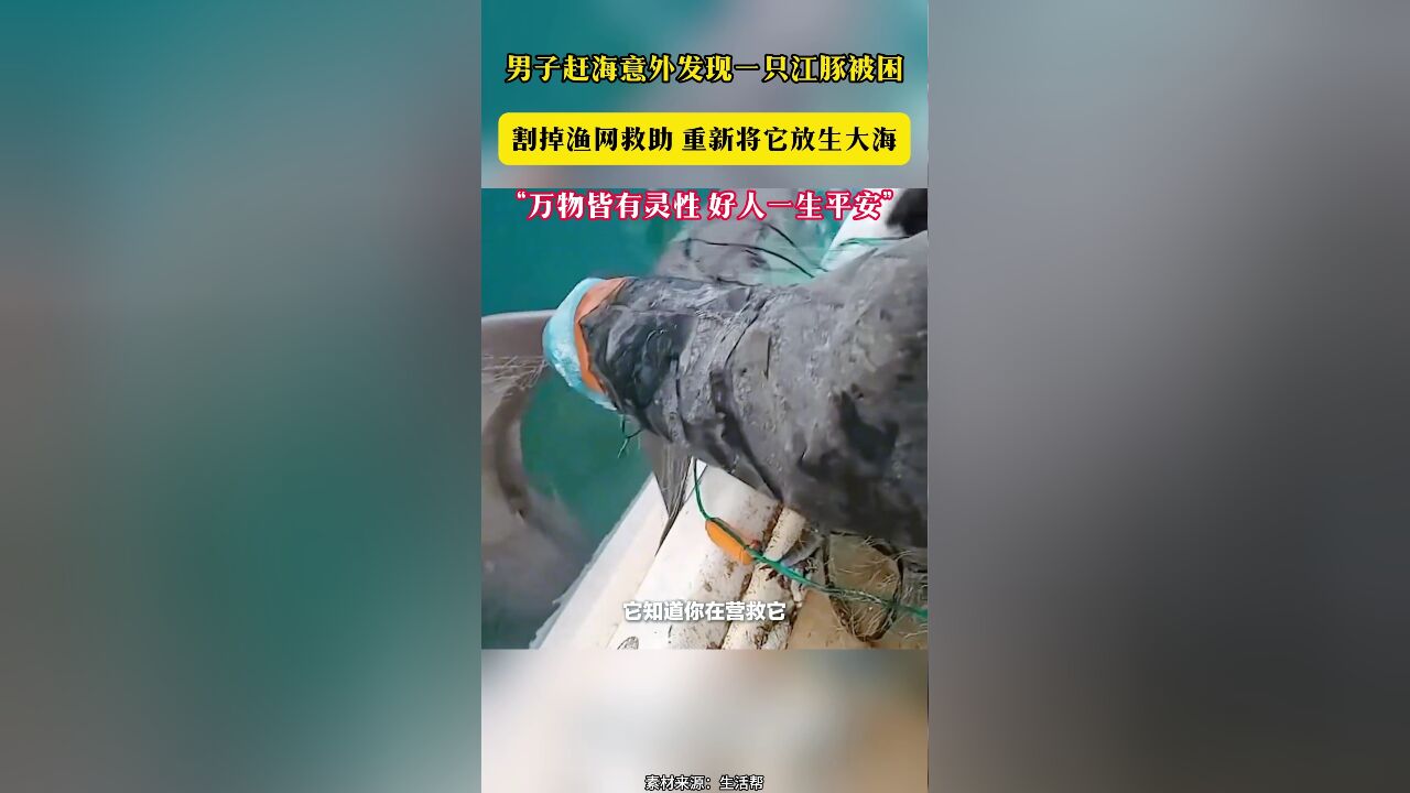 男子赶海意外发现一只江豚被困 割掉渔网救助 重新将它放生大海“万物皆有灵性 好人一生平安”