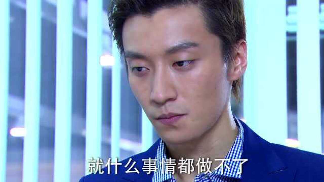 向幸福出发(免费版)丨《向幸福出发》第15集精彩集锦