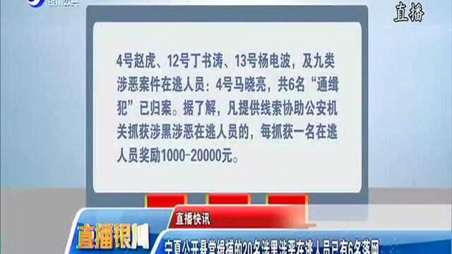 宁夏公开悬赏缉捕的20名涉黑涉恶在逃人员已有6名落网