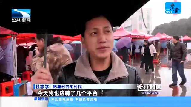 崇阳:招聘会陆续登场 “家门口”就业吸引返乡村民