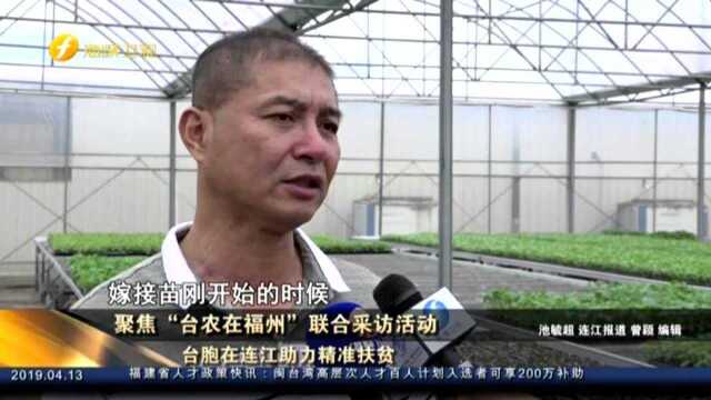 聚焦“台农在福州”联合采访活动:台胞在连江助力精准扶贫