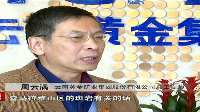 云南黄金矿业集团取得成矿作用与找矿项目重大突破 变荒山为金山