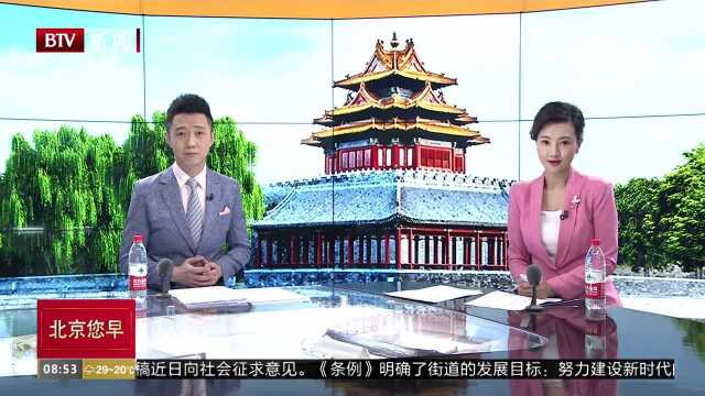 法国拍卖行将拍出梁龙化石骨架