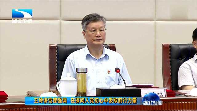 王玲讲党课强调 在探问入党初心中汲取前行力量