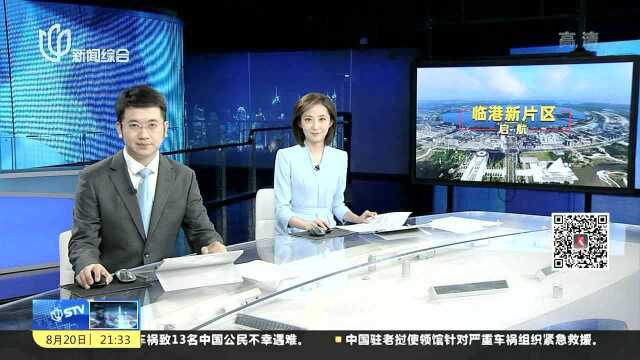 首批临港新片区营业执照诞生 企业登记探索“确认制”