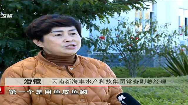 普洱市成立二十八个院士专家工作站“最强大脑”助力经济高质量发展