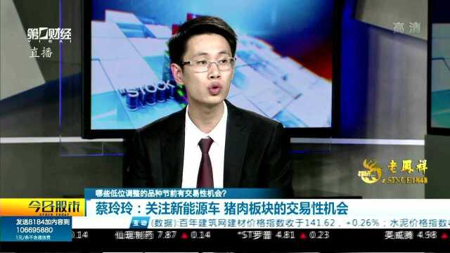 蔡玲玲:关注新能源车 猪肉板块的交易性机会