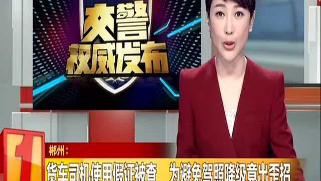 株洲:货车司机使用假证被查 为避免驾照降级竟出歪招