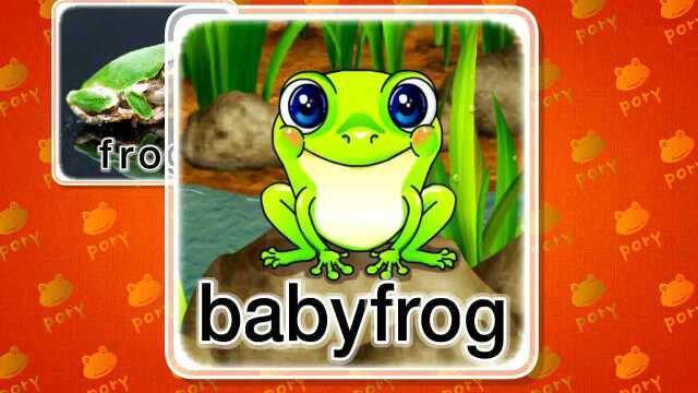 frog