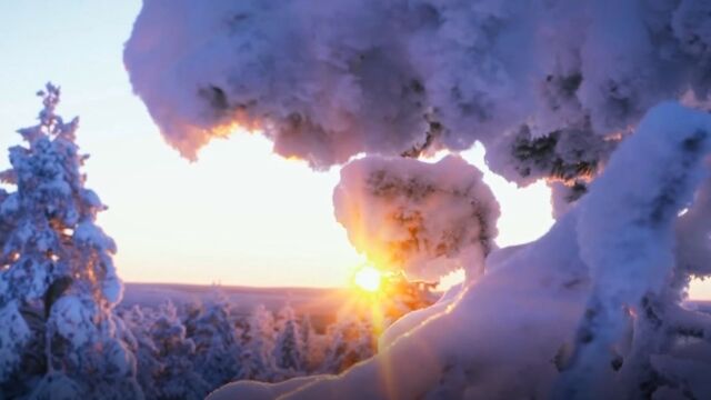 丰田车队在北极圈的阳光与冰雪中开启生命之门