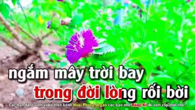 Vọng Kim Lang  Tone Nữ Phối Mới