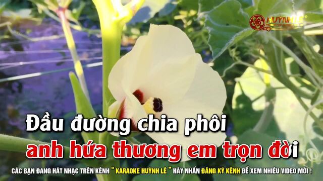 Tạ Từ Trong 䐃ꭠ Tone Nữ