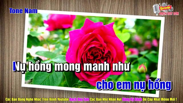 Nụ Hồng Mong Manh  Tone Nam Remix