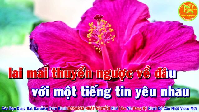 䐡𛫮g N㳩 Xa Nhau  Tone Nữ