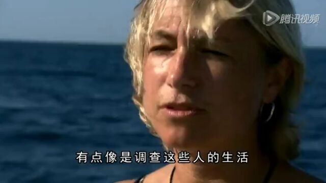 海洋第1集:加利福尼亚湾高光片段