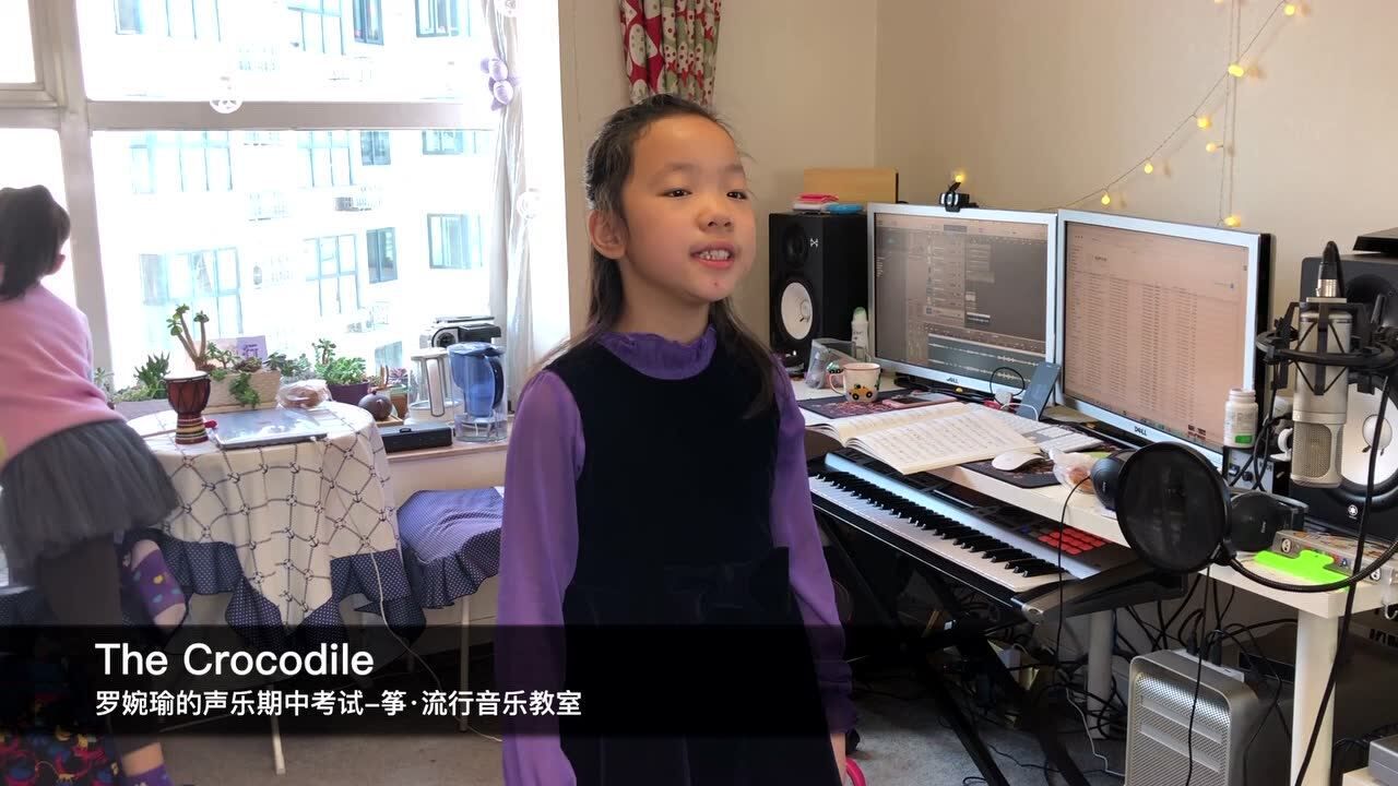 the crocodile 罗婉瑜-筝流行音乐教室