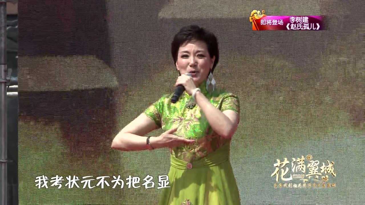 杨俊  黄梅戏《女驸马》