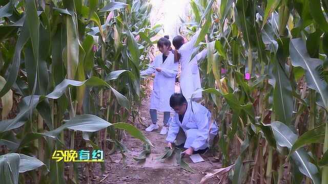 专家工作站产学研基地为农民增收致富搭建桥梁