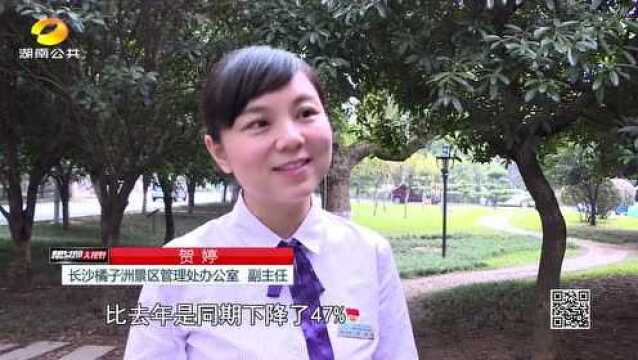 中秋“小长假”长沙旅游市场火热