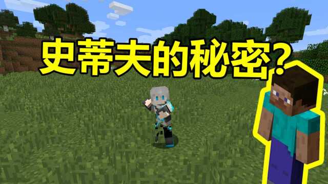 我的世界 Minecraft 你了解史蒂夫吗?史蒂夫角色揭秘