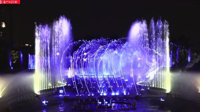 白鹭女神“蹁跹起舞”获点赞