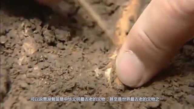 “贾湖遗址”发现了一个距今8000多年的古物,真的是感叹祖先的伟大