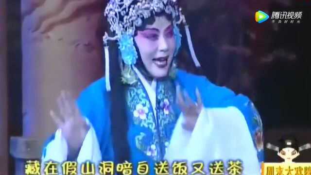 刘爱云曲剧《听月楼俺把陈朗他藏下》太好听了!