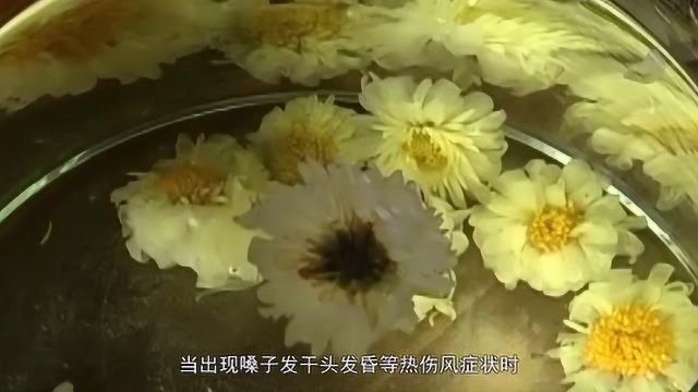 菊花具有清肝明目的功效,不同的菊花会不同的功效