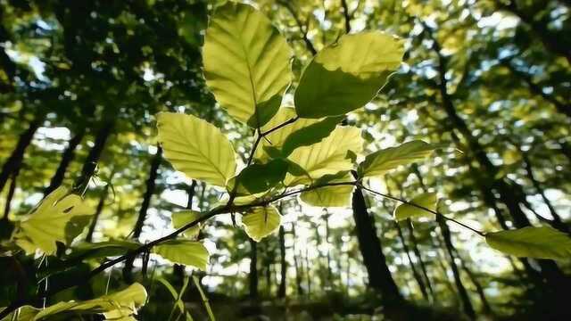 一年四季,大自然也在悄悄的发生着变化,展现不一样的美色!