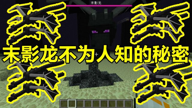 我的世界 Minecraft 关于末影龙的趣闻,末影龙不为人知的秘密