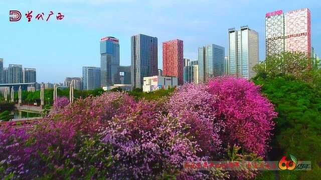 飞阅大美广西ⷮŠ工业柳州 花海城市