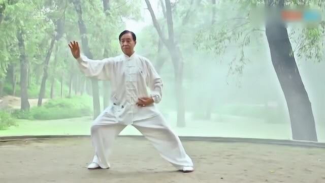 真正的太极拳一一陈氏老架十三式太极拳