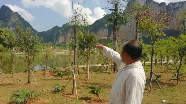 和瑞风水网将军出阵宝地,风水大师寻龙点穴阴宅墓地祖坟风水教学