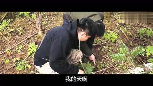 韩路游记中国国家公园巡礼01:湖北神农架国家公园(预告片)