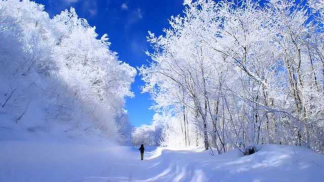 雪天,白白的风景很美