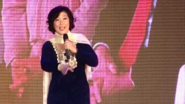 9.潮剧《洪湖水浪打浪》演唱:黄静华