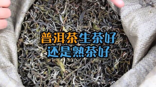 普洱茶生茶和熟茶相比哪个更好?它们有什么区别?