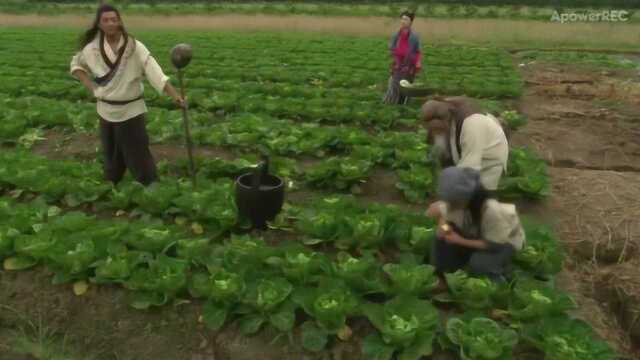 菜园子张青种菜堪比机器播种,动作犀利流畅,孙二娘暗中窃喜!