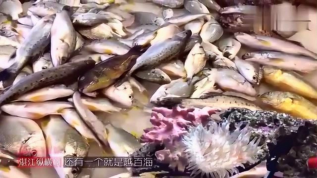 湛江美食:本地大哥为你精心准备了“湛江美食攻略”,吃遍地道美食!