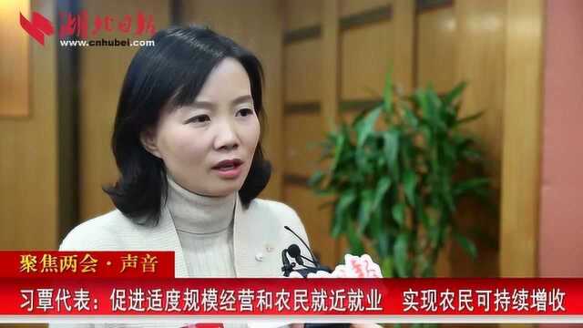 习覃代表:促进适度规模经营和农民就近就业 实现农民可持续增收