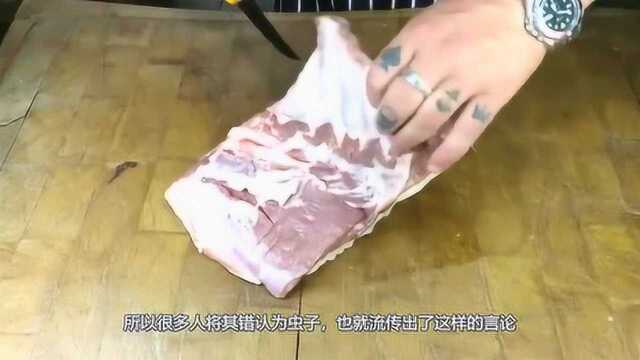 猪肉中真的存在钩虫吗,如何预防食入钩虫?今天算长见识了