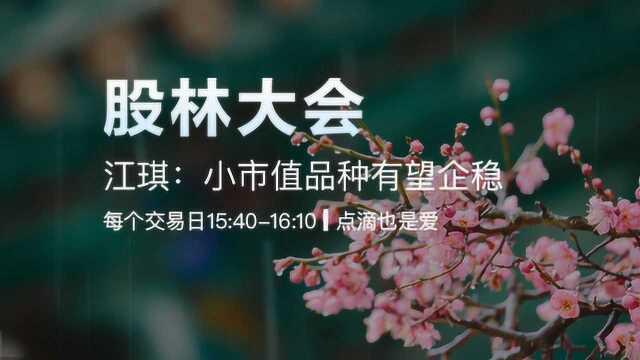 江琪:小市值品种有望企稳 看好券商