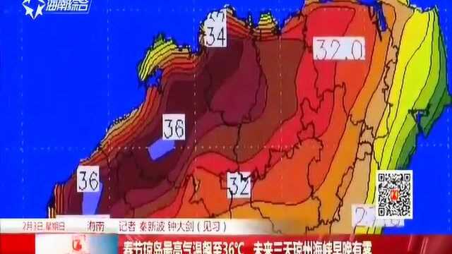 春节琼岛最高气温飙至36℃ 未来三天琼州海峡早晚有雾