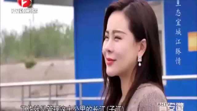 江豚性情活泼智力发达,跟随记者一起去看看吧