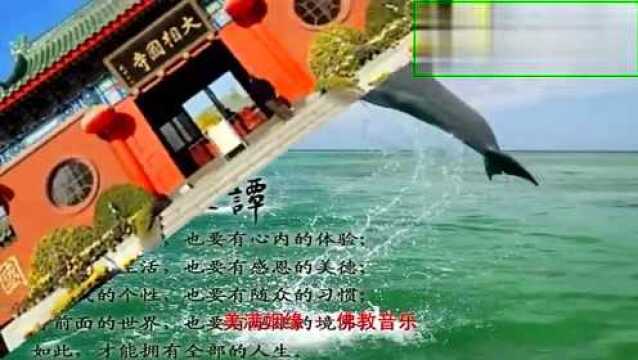 佛教音乐美满姻缘天籁梵音一听忘俗积福无量