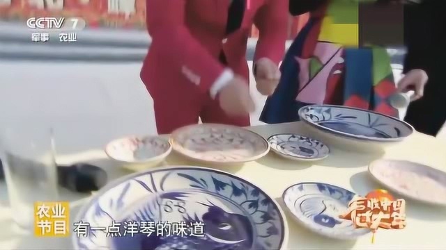 美丽中国乡村行:孙健康表演《盘子哥献艺》,多才多艺真厉害