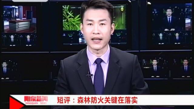 短评:森林防火关键在落实