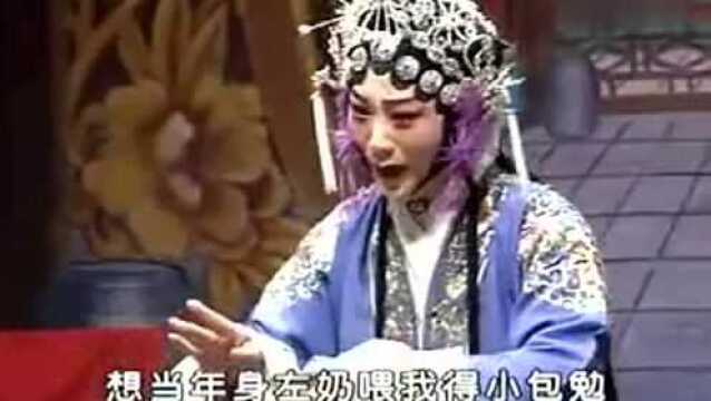 豫剧《包公赔情》多亏你不忘养育恩,张水英饰演嫂娘